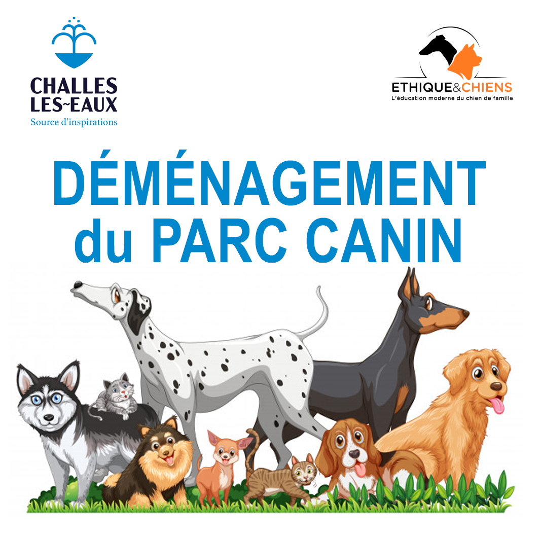 Déménagement parc canin